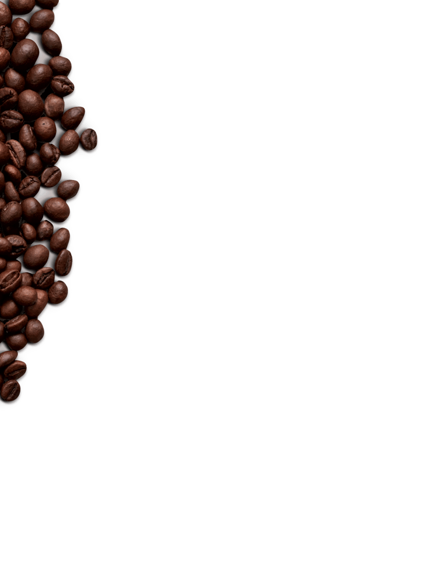 Ninja Kaffemaschinen jetzt neu! - Ninja DE